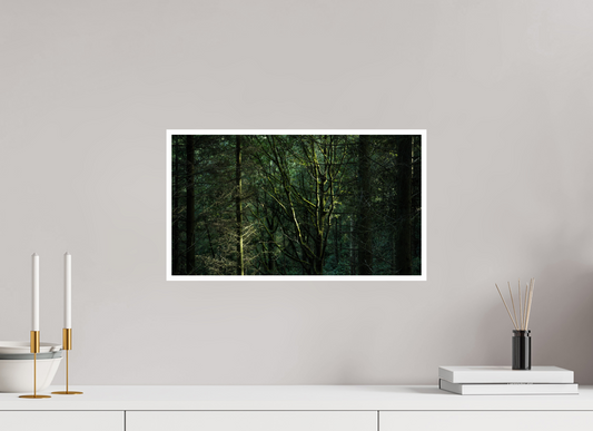 Woodland Light
