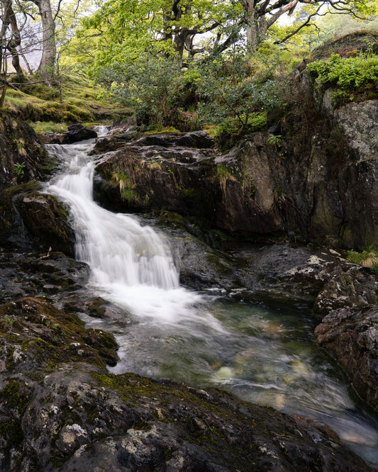 Woodland waterfall