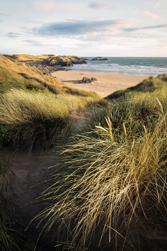Anglesey Views
