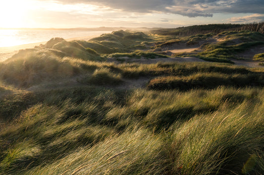 Anglesey Dunes