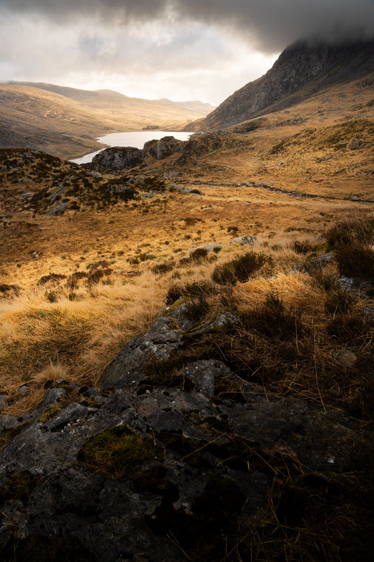 Ogwen Valley Portrait