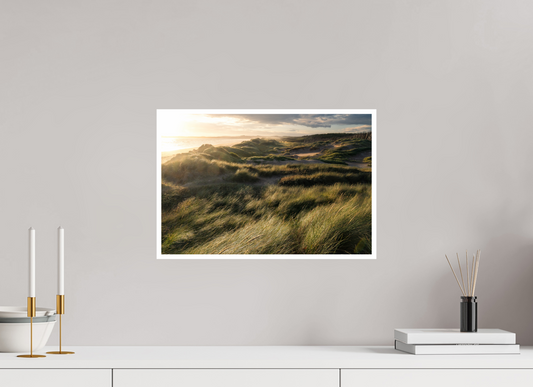 Anglesey Dunes